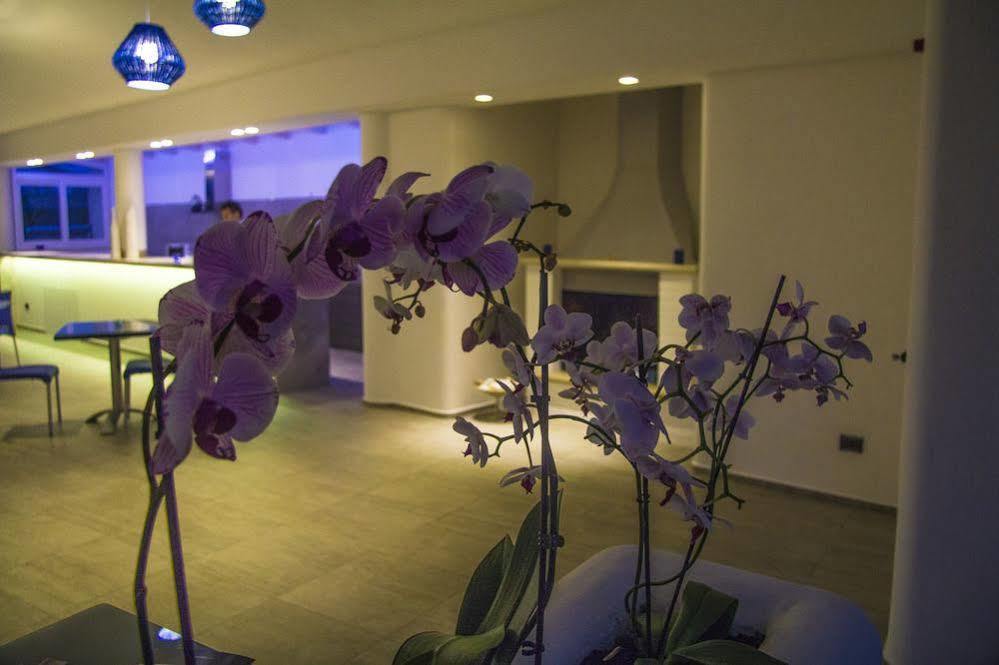 La Bella Trani - Suites And B&B Eksteriør billede